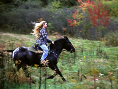 Horseback riding